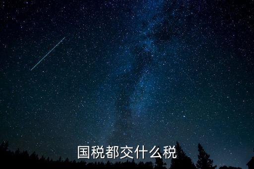 國(guó)稅五項(xiàng)稅種都是什么，國(guó)稅包括哪些稅種