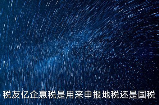 稅友報(bào)稅的是什么，稅友億企惠稅是用來(lái)申報(bào)地稅還是國(guó)稅