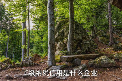 稅務等級c級是什么意思，申請一般納稅人abc類是什么意思