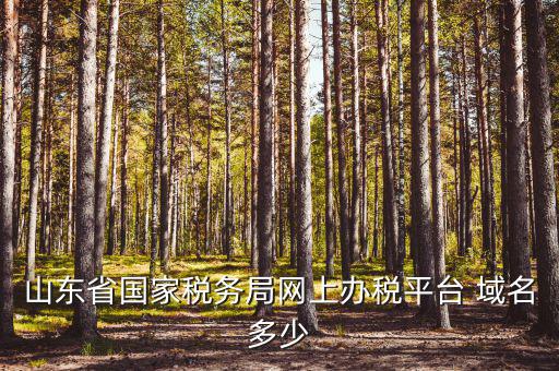 山東省國家稅務(wù)局網(wǎng)上辦稅平臺(tái) 域名多少