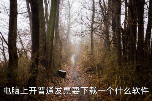 網(wǎng)絡(luò)開(kāi)票需要下載什么軟件下載，電腦打發(fā)票是不是要下載一個(gè)什么軟件