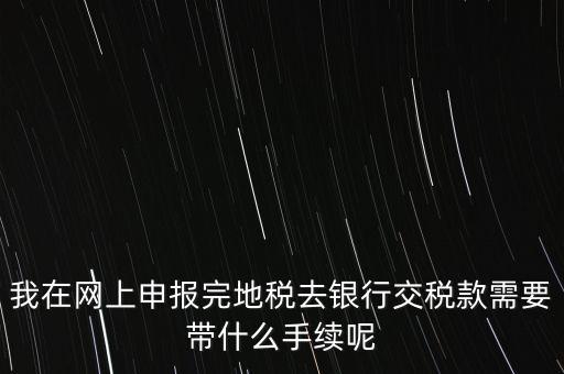 核稅后拿什么去交稅，申報交稅需要什么手續(xù)