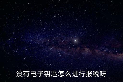 沒有電子鑰匙怎么進(jìn)行報稅呀