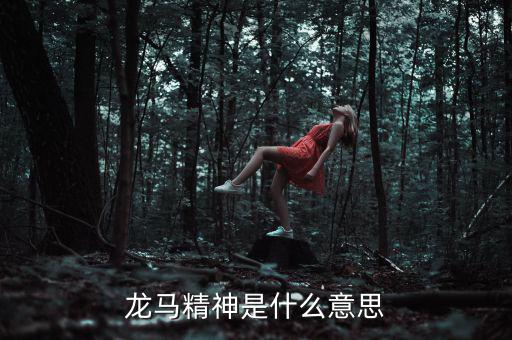 湖北國稅精神是什么意思，神志不清精神不能集中是什么詞的意思