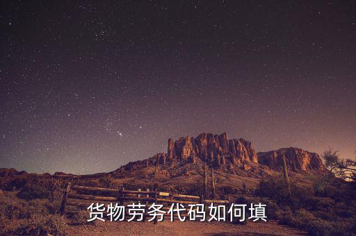 貨物勞務代碼是什么，貨物勞務代碼如何填