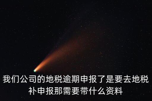逾期申報需要帶什么資料，我們公司的地稅逾期申報了是要去地稅補申報那需要帶什么資料