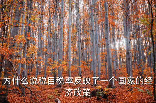 為什么要規(guī)定稅目，稅目是什么意思