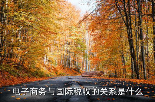 電子商務與國際稅收的關系是什么