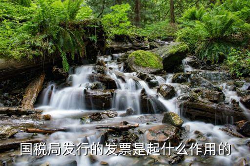 國(guó)家稅務(wù)局發(fā)票有什么用，發(fā)票有哪些作用呢
