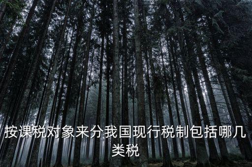 什么是現(xiàn)行稅收制度，說明中國(guó)現(xiàn)行稅制增值稅的具體稅制要素有哪些