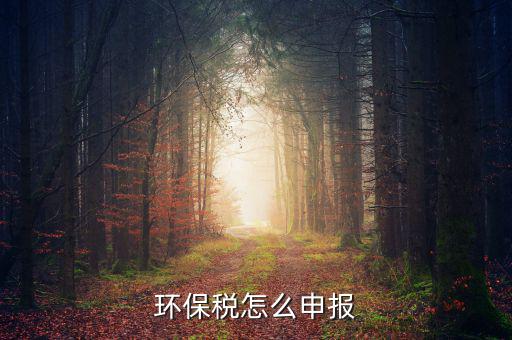 環(huán)境保護(hù)稅按什么申報(bào)，環(huán)保稅怎么申報(bào)