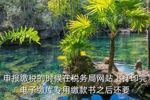 申報繳稅的時候在稅務局網站上打印完電子繳庫專用繳款書之后還要