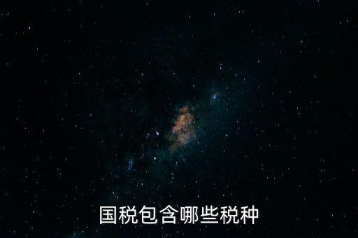 國稅發(fā)票有什么項(xiàng)目，國稅通用手工發(fā)票可以開什么項(xiàng)目經(jīng)營范圍是道路普通貨物運(yùn)輸