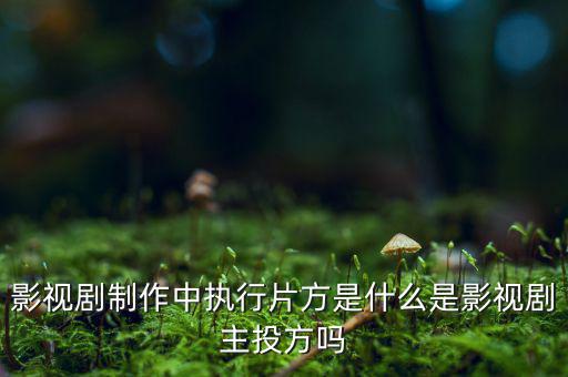 什么是分立主導方，股權(quán)分立是什么意思