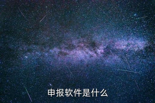 國稅申報軟件叫什么，申報軟件是什么