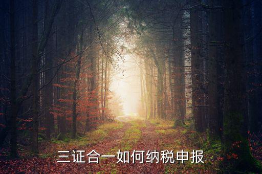 三證合一用什么報(bào)稅，三證合一如何納稅申報(bào)