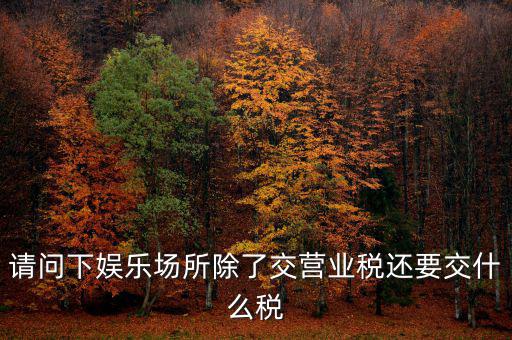 娛樂業(yè)交什么稅，請(qǐng)問下娛樂場(chǎng)所除了交營(yíng)業(yè)稅還要交什么稅