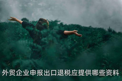外貿(mào)企業(yè)申報出口退稅應提供哪些資料