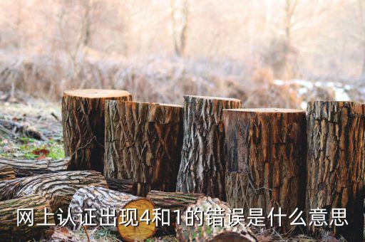 認證發(fā)票4是什么問題，認證發(fā)票通常會碰到哪些問題