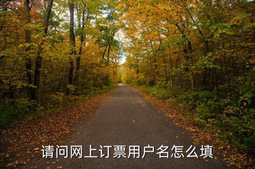 預(yù)約發(fā)票用戶名是什么，開票客戶名稱是指