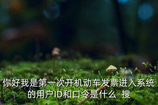 你好我是第一次開機動車發(fā)票進(jìn)入系統(tǒng)的用戶ID和口令是什么  搜
