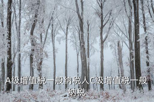 B級(jí)納稅人有什么影響，稅局把公司b級(jí)降到c級(jí)有什么影響嗎