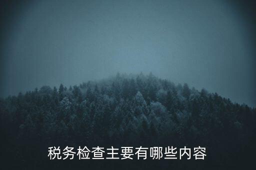 稅務檢查主要有哪些內容