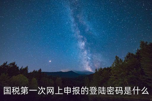 國稅登錄賬號密碼是什么意思，國稅第一次網(wǎng)上申報的登陸密碼是什么