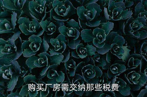 個(gè)人買廠房交什么稅，請問在重慶購買一手廠房需要交納那些稅費(fèi)具體稅率是多少注
