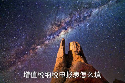 增值稅納稅申報(bào)表怎么填