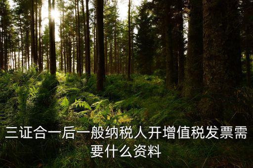 三證合一后刻發(fā)票章需要帶什么資料，三證合一后刻發(fā)票章需要提供什么資料