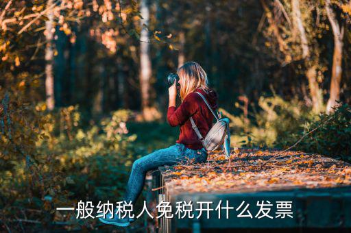 一般納稅人領(lǐng)什么票，一般納稅人免稅開什么發(fā)票