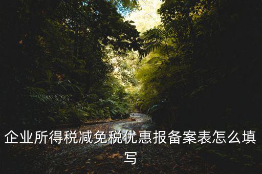 什么是稅收優(yōu)惠備案表，企業(yè)所得稅優(yōu)惠備案表填寫急
