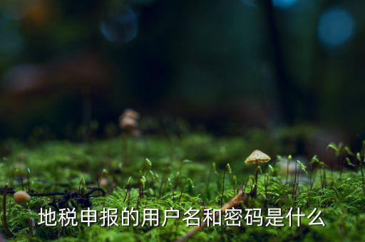 杭州地稅用戶名是什么意思，地稅的用戶名是什么