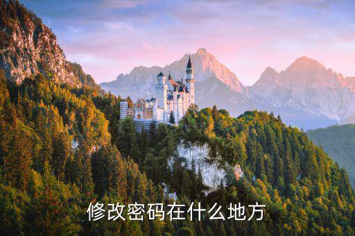 國稅網(wǎng)站更改密碼在什么地方，修改密碼在什么地方