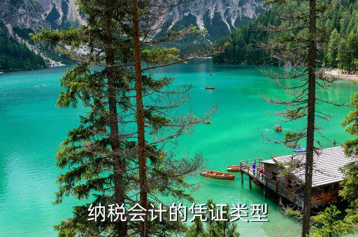 應(yīng)納稅憑證種類(lèi)是什么意思，總賬里關(guān)于記賬憑證的種類(lèi)和號(hào)數(shù)是什么意思