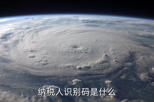 納銳人識別號是什么，納稅人識別碼是什么