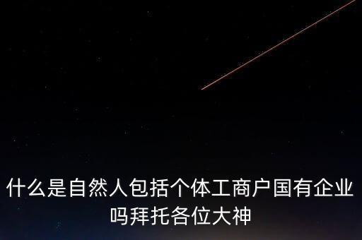 稅務(wù)上的自然人指的是什么，申請(qǐng)人為自然人的是什么意思