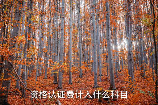 認證服務(wù)費什么，申請微信公眾賬號認證服務(wù)費什么意思