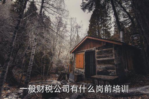 一般納稅人培訓什么，一般納稅人培訓要帶什么東西