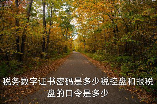 寧波國稅ca密碼是什么，寧波市電子稅務局登陸密碼