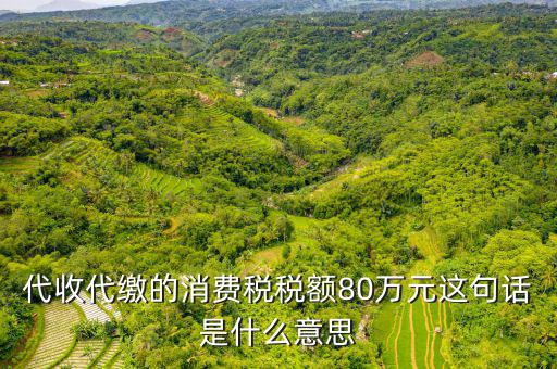 代扣代繳稅額是什么，代扣稅屬于什么稅