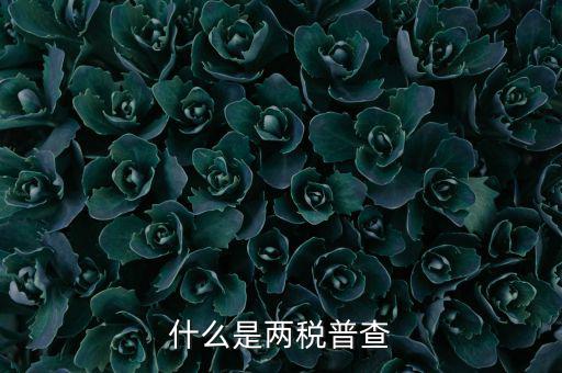 兩稅普查是什么意思，進(jìn)口兩稅是什么