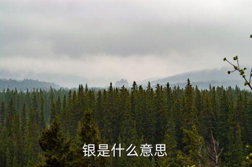 財(cái)稅庫(kù)銀是什么意思，銀是什么意思