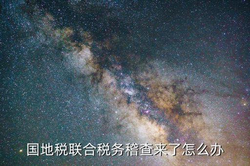 國地稅聯合稽查是什么意思，國地稅聯合稅費申報什么意思