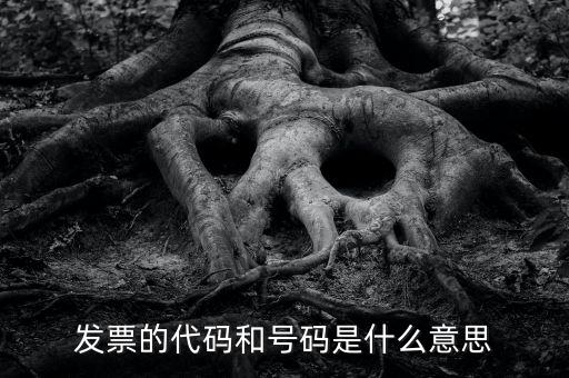 什么是打發(fā)票代碼，請教各位什么事發(fā)票代碼