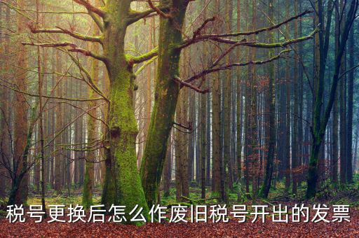 變稅號需要做什么，稅號更換后怎么作廢舊稅號開出的發(fā)票