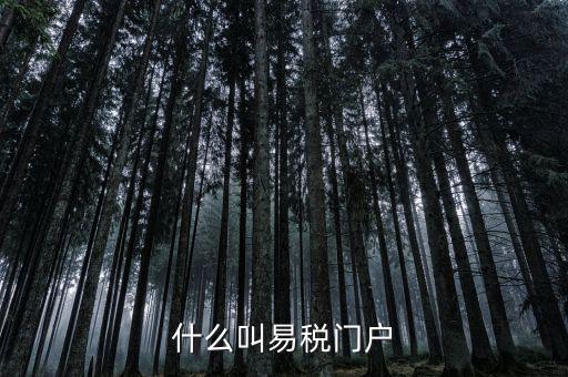 什么叫易稅門(mén)戶