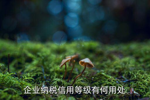 納稅等級有什么用，請問什么是分級別納稅信用單位怎么得到這種稱號得到了又有啥好