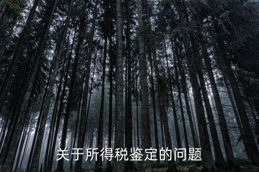 什么叫稅鑒，什么是納稅人鑒定表其格式是什么樣的